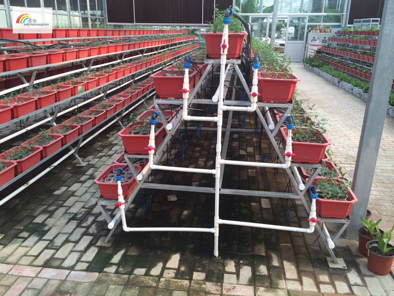 南京草莓立体种植架